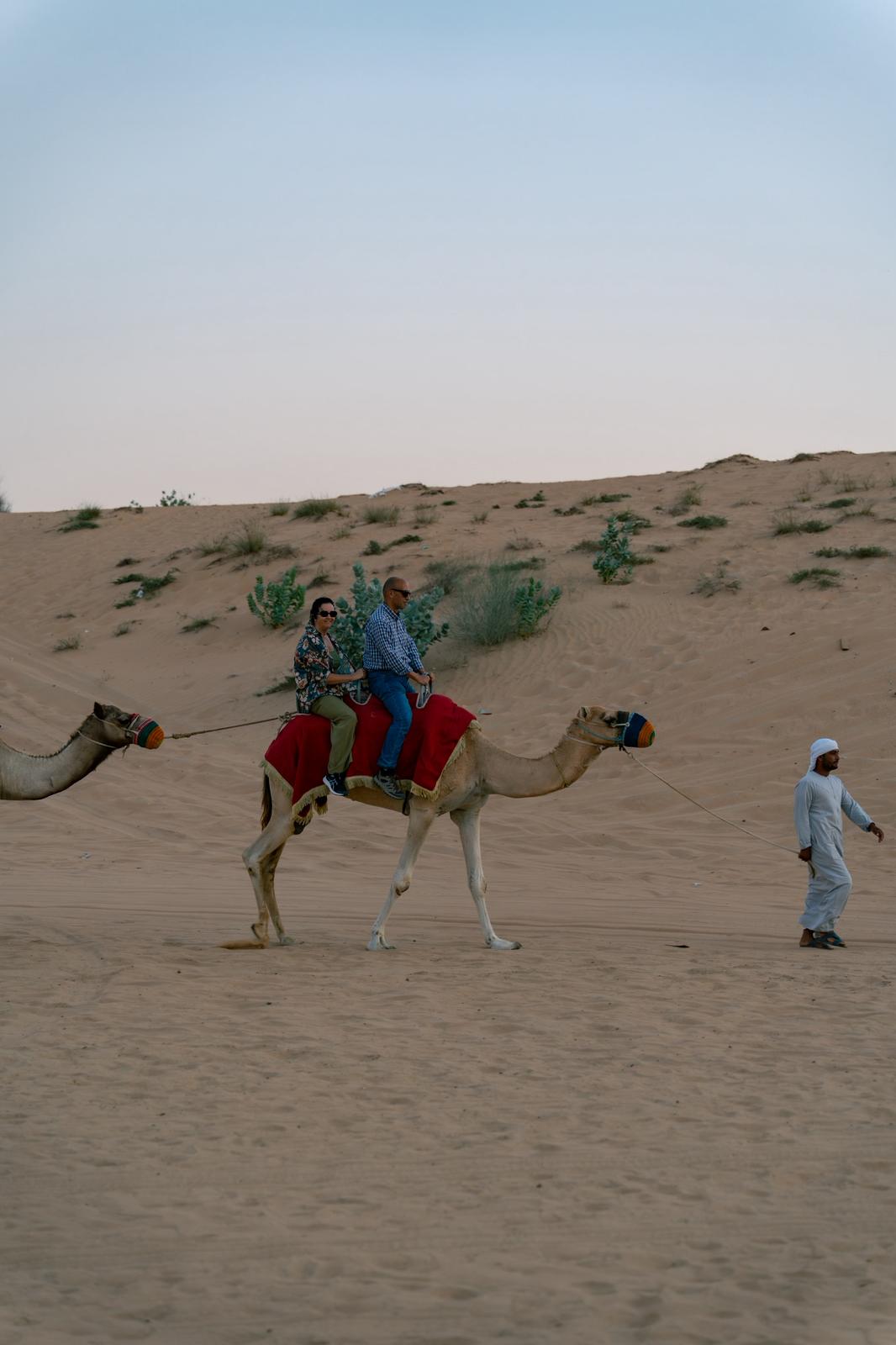 Safari por el desierto de Dubái con quad, cena y espectáculos